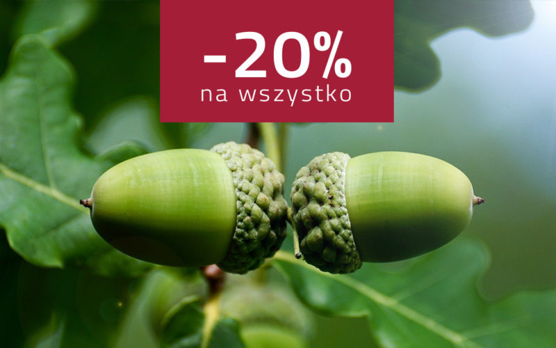 Promocja wiosenna 2020