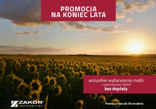 Promocja na Koniec Lata 2024