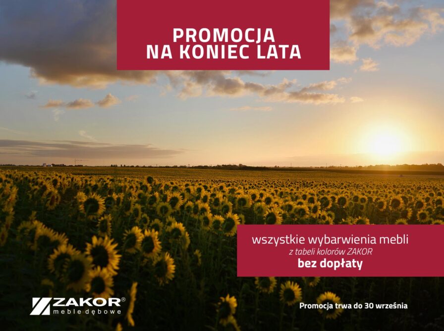 Promocja na koniec lata 2024