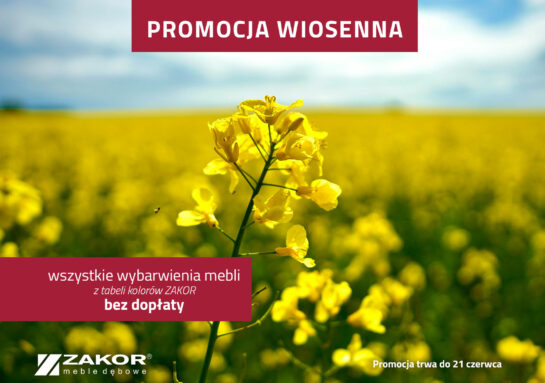 Promocja wiosenna 2025
