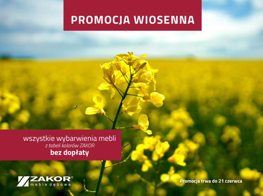 Promocja wiosenna 2025